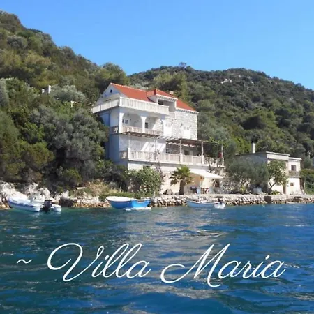 Arch 2 - One Bedroom With Terrace 4 Lastovo